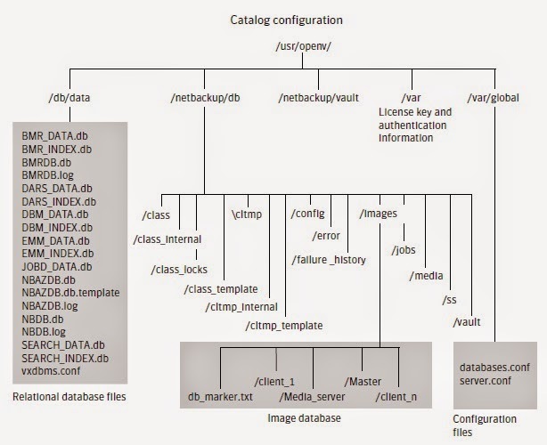 NBU Catalog Structure